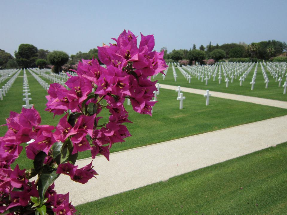 Citronnade au café le Saf Saf